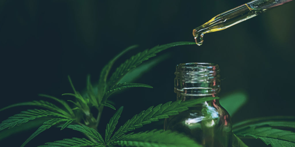THCP vs THCA: Effects, Potency, Legality & How to Choose