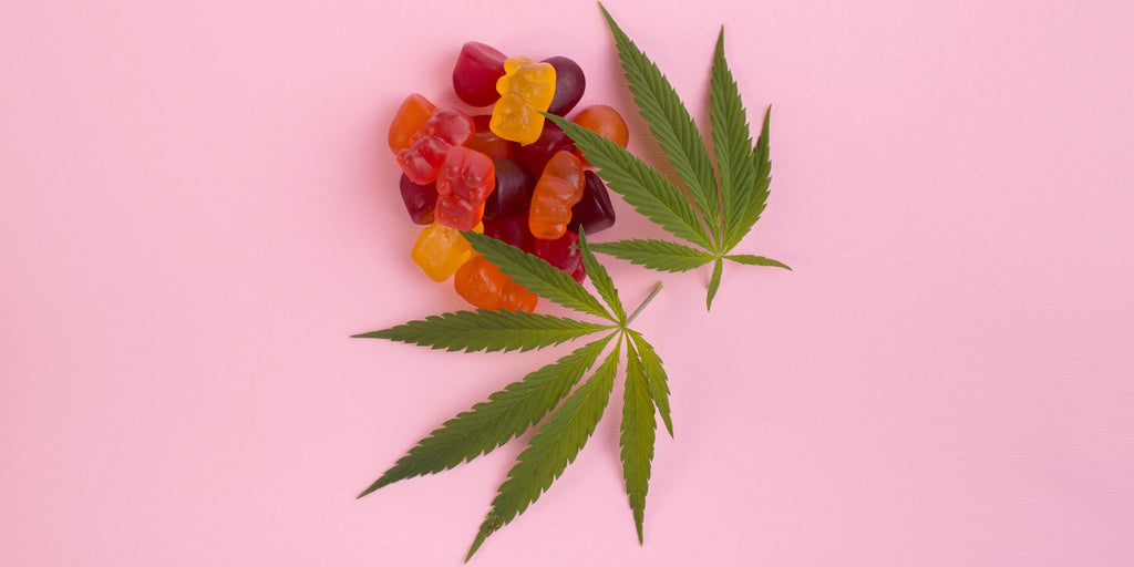 Does Delta 9 Show Up on a Drug Test? How Long It Stays in Your System