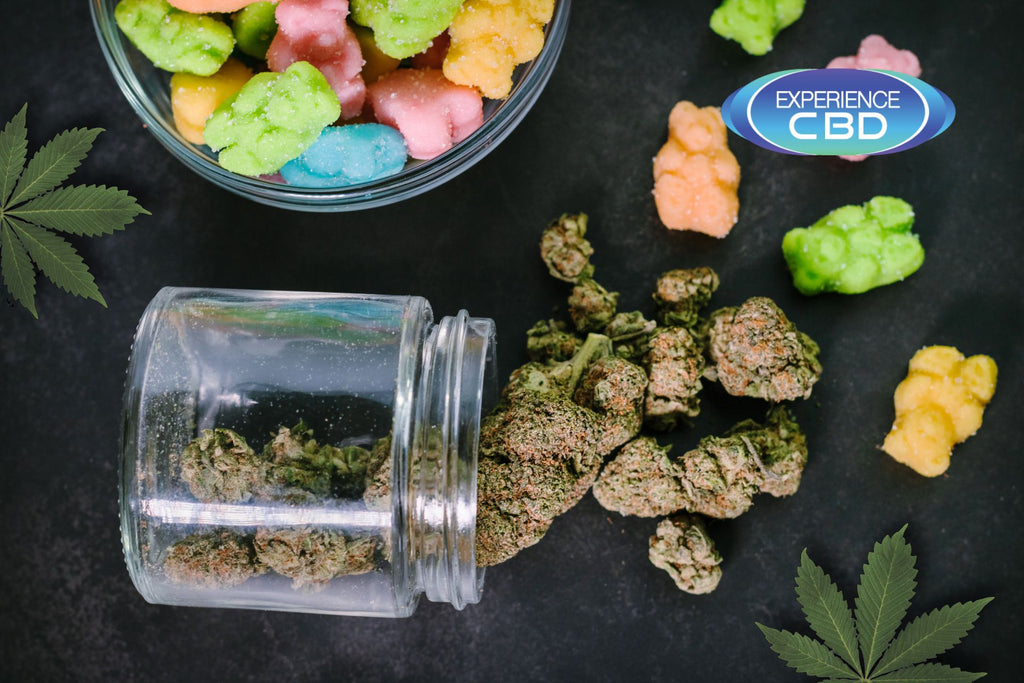 Delta-9 Edibles vs Smoking: Which Delivers a Better, Longer-Lasting High?