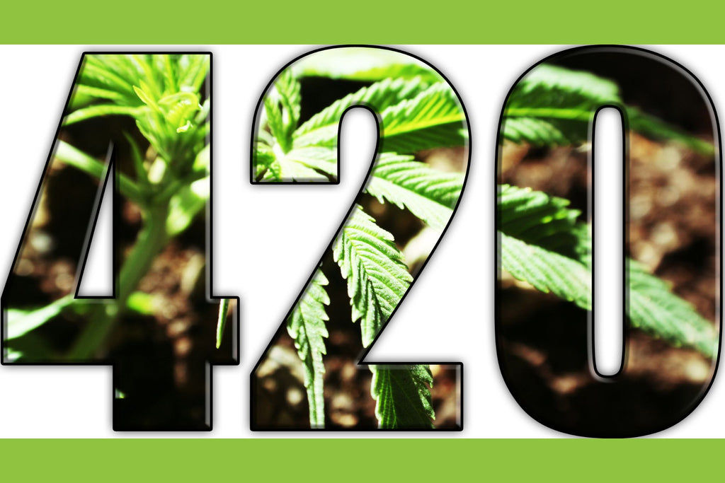 420: Exploring the Story Behind Weed Day