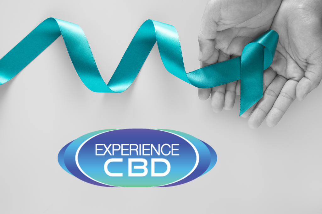 Finding Relief: How CBD Can Aid in Coping with PTSD