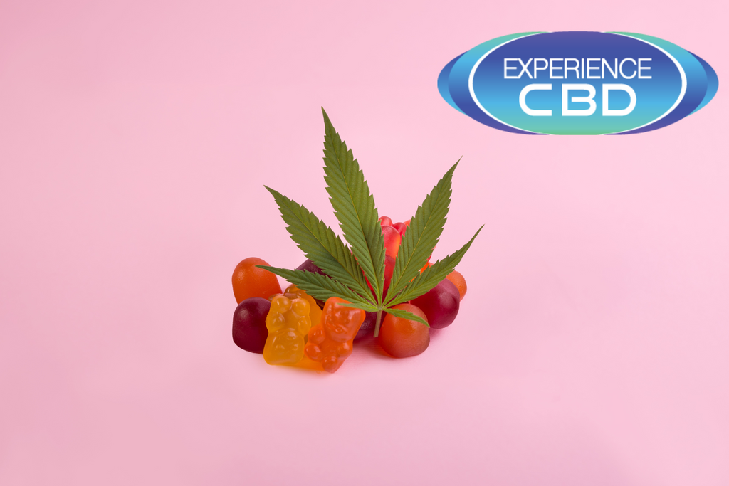 Choosing Quality CBD Gummies: A Guide to Finding the Perfect CBD Treat
