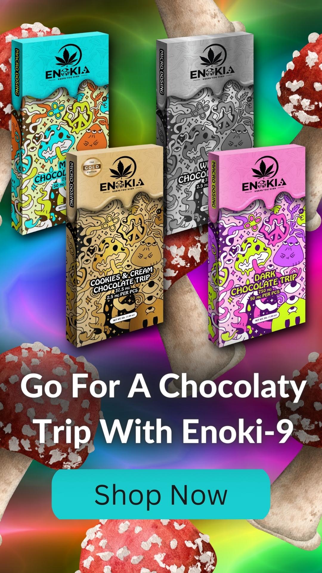 Collection page banner