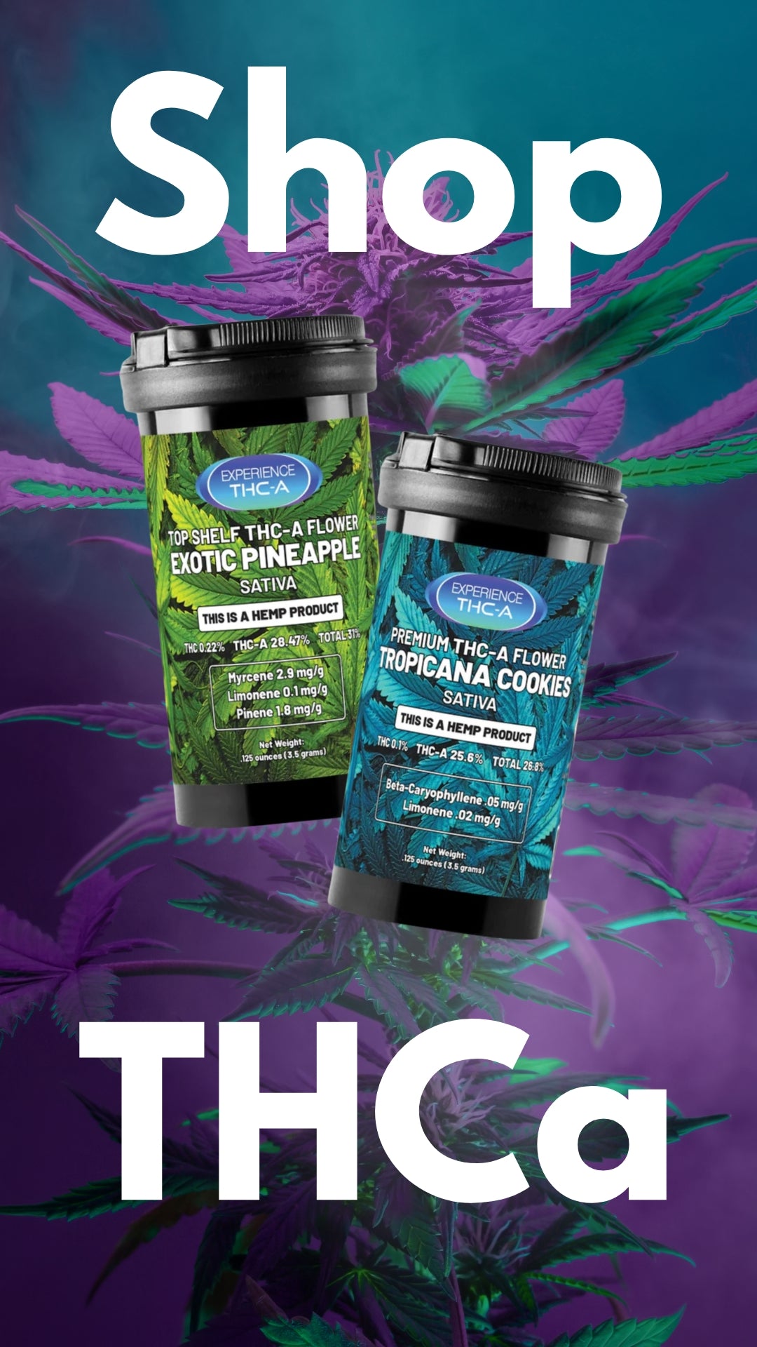 Collection page banner