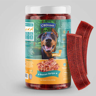 CBD Dog Treats for all sizes - Bacon Strips
